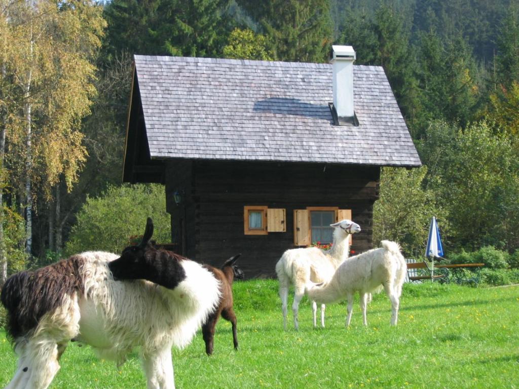 Huette Zum Verlieben Gurk Bagian luar foto