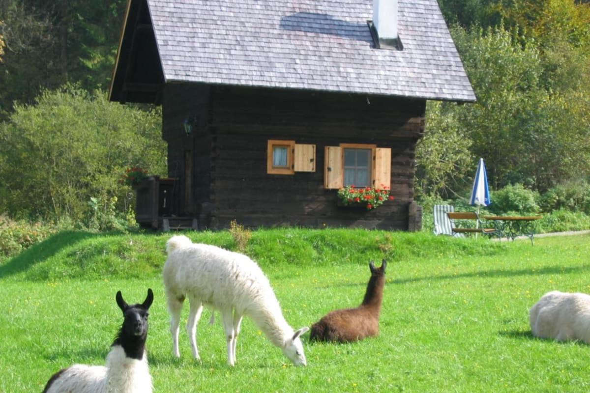 Huette Zum Verlieben Gurk Bagian luar foto